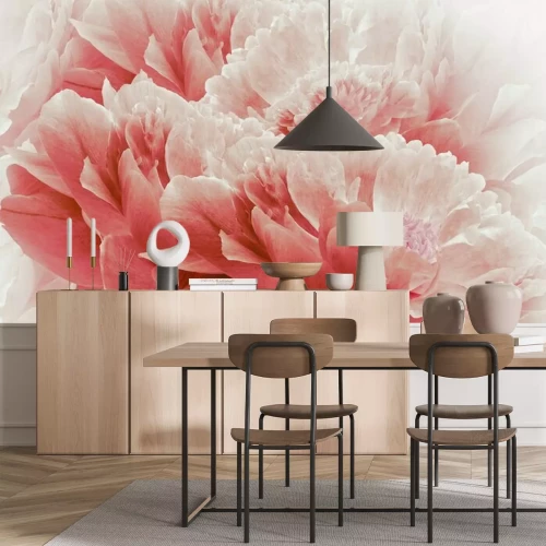 Fotobehang Samenstelling van rode pioenrozen