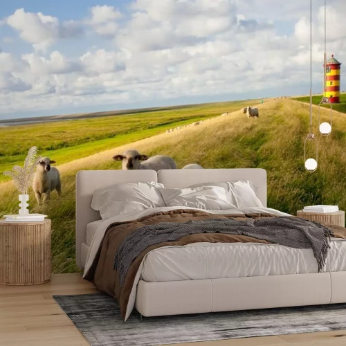 Fotobehang Schapen in een weide