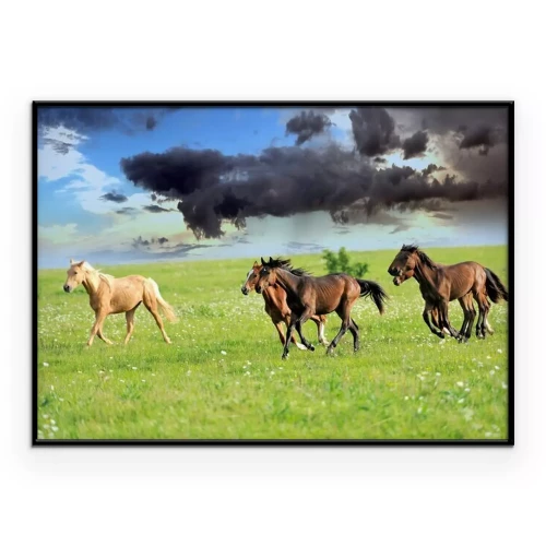 Poster Paarden in het gras onder een donkere wolk.