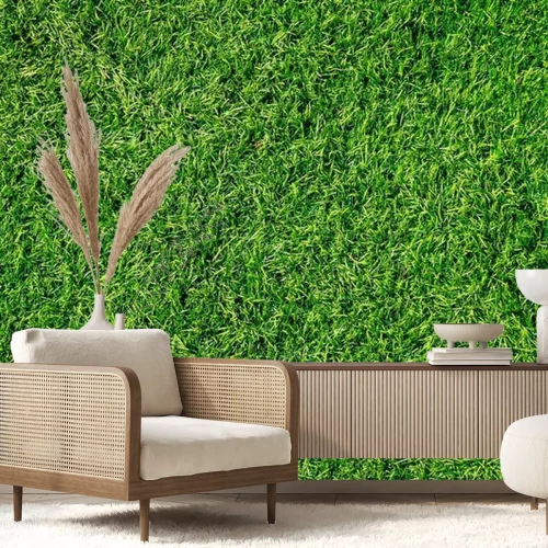 Fotobehang Gras in de zon