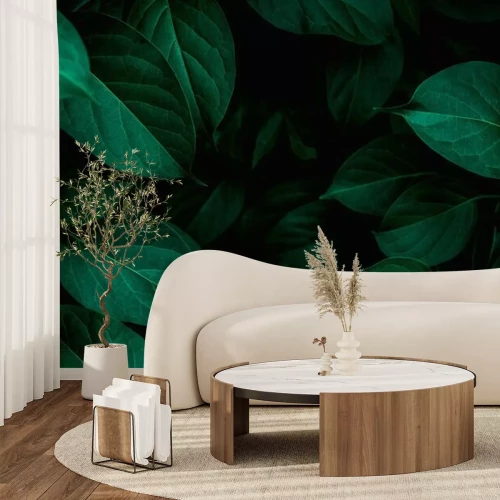 Fotobehang Bladeren op zwarte achtergrond