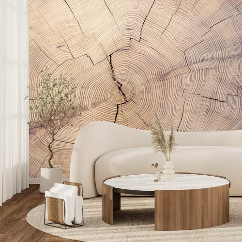 Fotobehang Oude houten stomp textuur