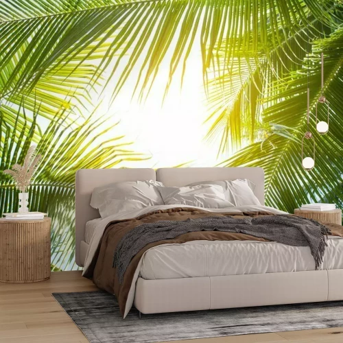 Fotobehang Groene palmbomen in de zon