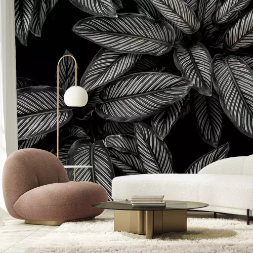 Fotobehang Zwart-witte bladeren van een wilde plant