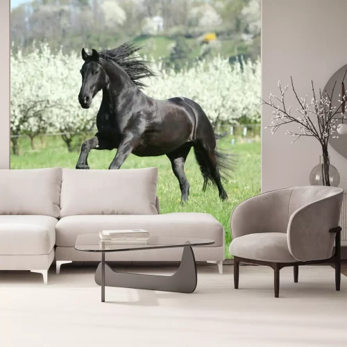 Fotobehang Een zwart paard galoppeert over het gras.
