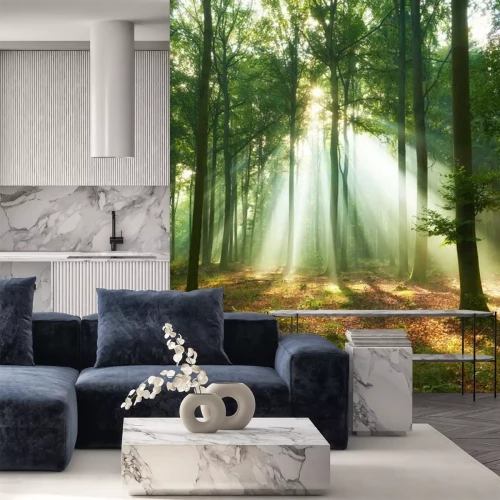 Fotobehang Lente in het bos