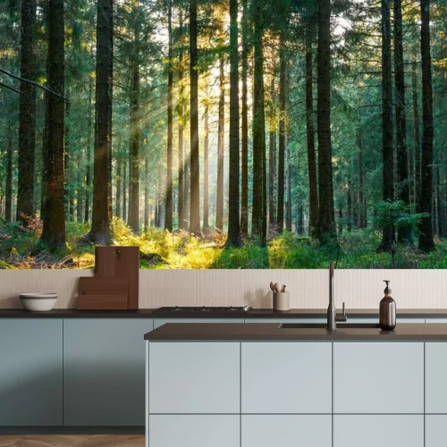 Fotobehang Zonnestralen in een rustig lentebos