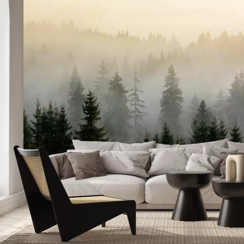 Fotobehang Mistig dennenbos bij zonsopgang