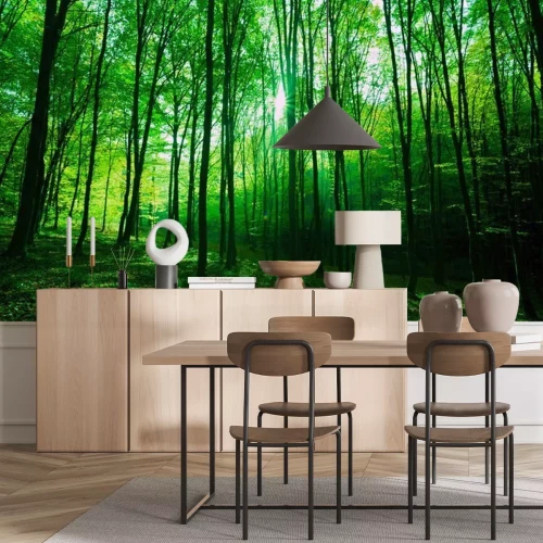 Fotobehang Zonnelicht in het groene bos