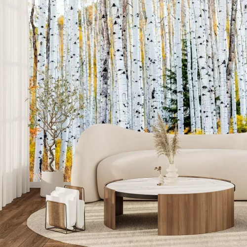 Fotobehang Berkenbos in herfstlandschap