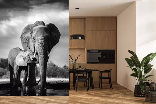 Visualisatie van het product