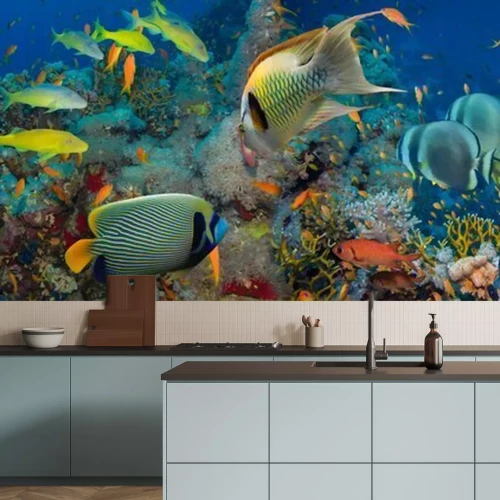 Fotobehang Vissen en koraalrif