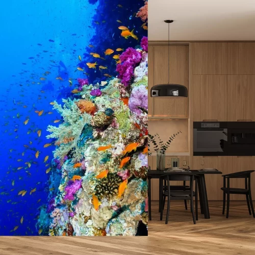 Fotobehang Koraalrif in Egypte