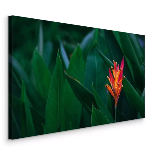 Canvas Donkergroene bladeren en exotische oranje bloemen