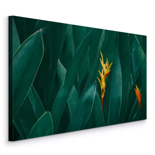 Canvas Oranje exotische bloemen tegen een achtergrond van donkergroene bladeren