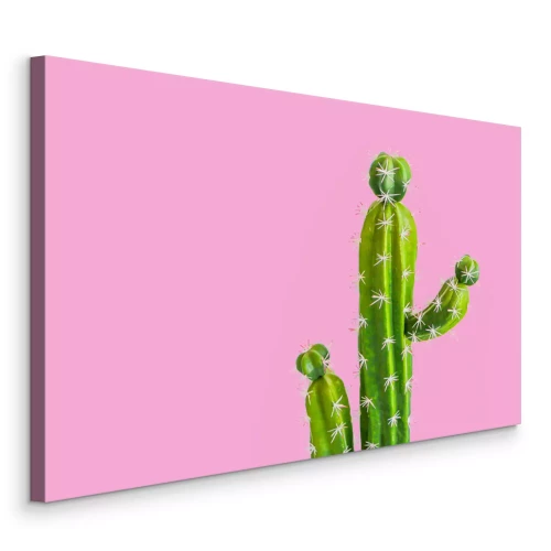 Canvas Cactus op een roze achtergrond