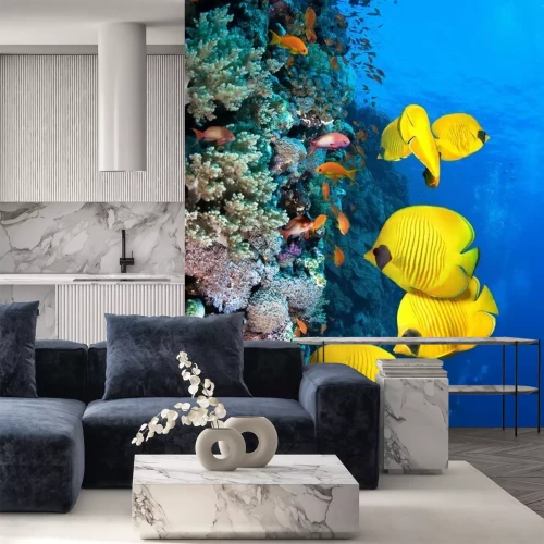 Fotobehang Geel koraalrif en vissen