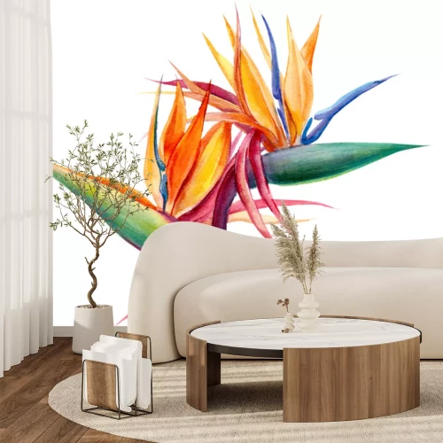 Sticker Exotische planten van paradijsvogels op witte achtergrond