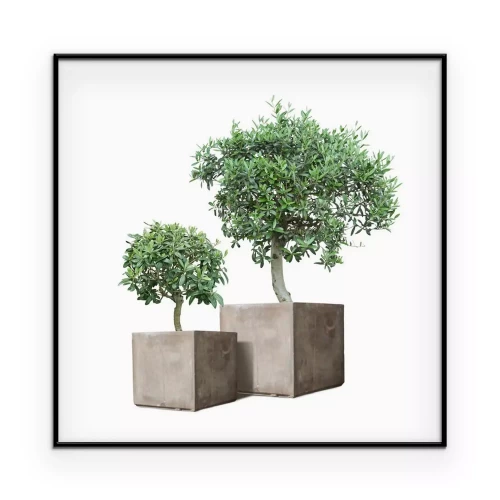 Visualisatie van het product