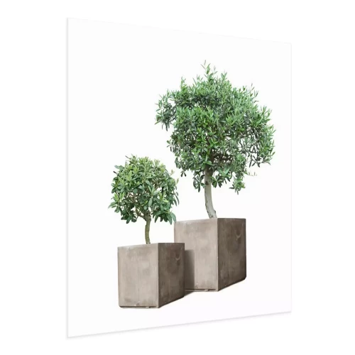 Visualisatie van het product