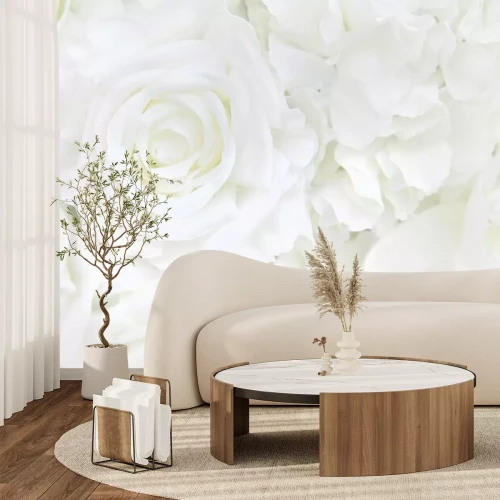 Fotobehang Witte roos bloemen achtergrond