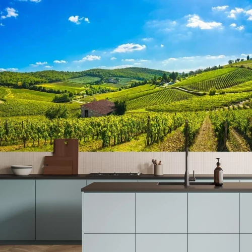 Fotobehang Toscaanse wijngaard in de zon