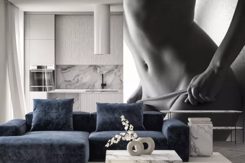 Visualisatie van het product