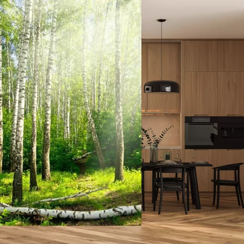 Fotobehang Liggende berken in een bos