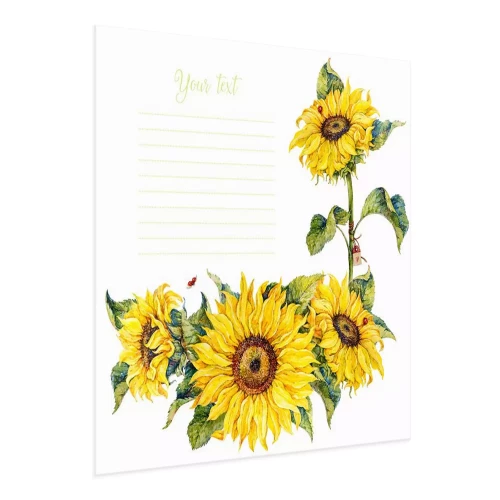 Visualisatie van het product