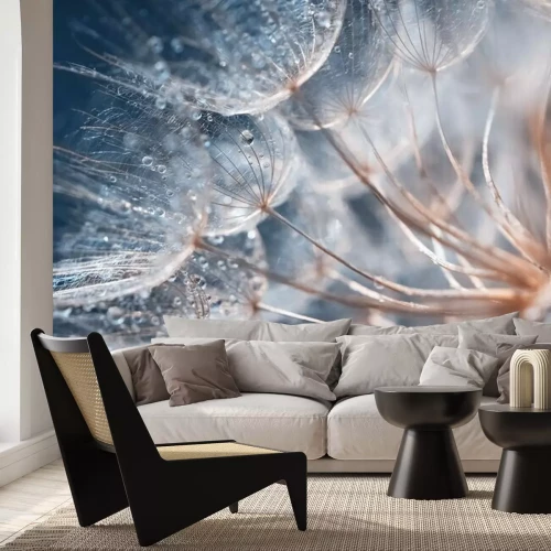 Fotobehang Paardenbloemzaden met dauwdruppels