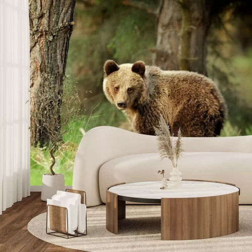 Fotobehang Bruine beer in een bos
