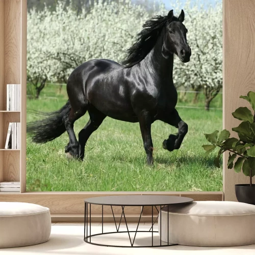 Fotobehang Een zwart paard in het gras met bloeiende bomen op de achtergrond.