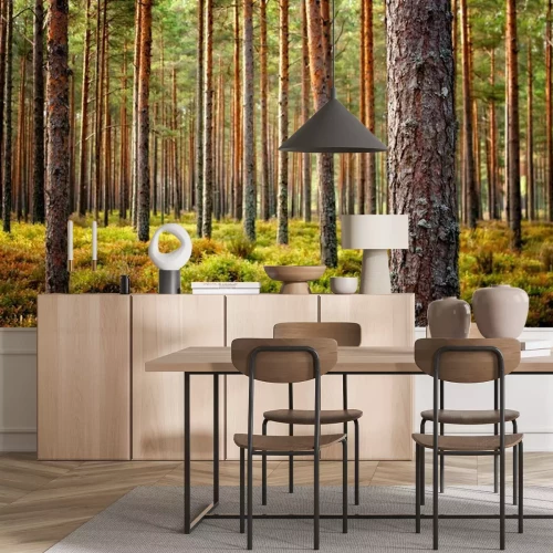 Fotobehang Prachtig boslandschap in de herfst