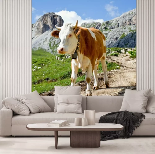 Fotobehang Koe op een bergpad