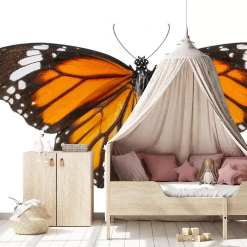 Sticker Foto van een oranje-zwarte vlinder met gespreide vleugels