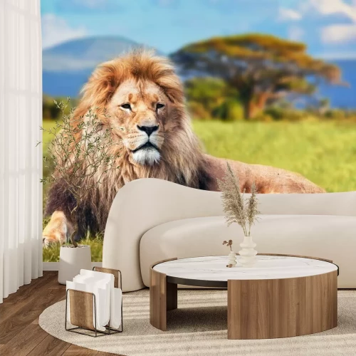 Fotobehang Een leeuw rust uit in de Keniaanse savanne