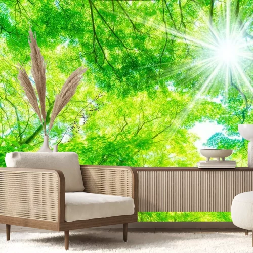 Fotobehang Planten in de zon