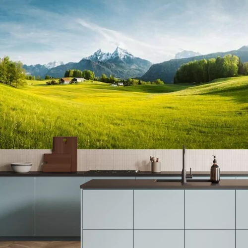 Fotobehang Landschap met alpenweide en besneeuwde bergtoppen