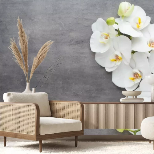 Fotobehang Witte orchidee op grijs beton, kunstfotografie