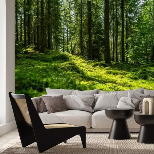 Fotobehang Een groene open plek in het bos