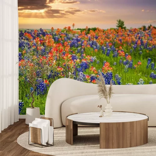 Fotobehang Weide met grote bloemen