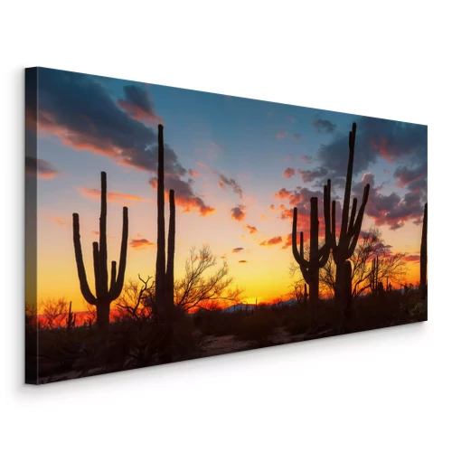Canvas Landschap met cactussen tegen de achtergrond van een zonsondergang in Arizona