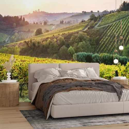 Fotobehang Toscaanse wijngaard op een heuvel