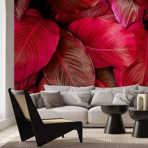 Fotobehang Rode bladeren