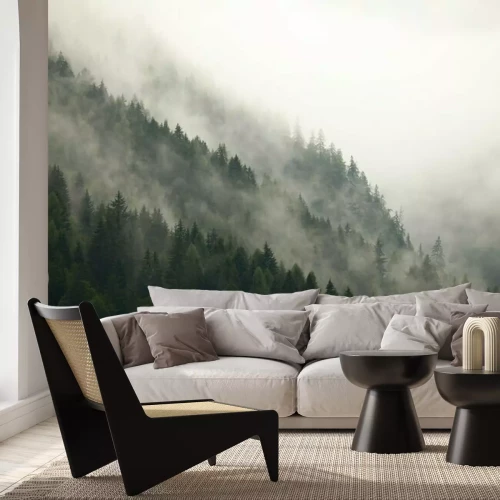 Fotobehang Beboste berghelling