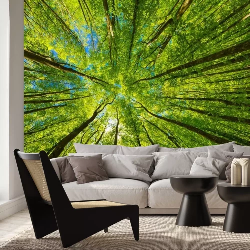 Fotobehang Uitzicht op de groene boomtoppen van onderaf