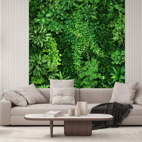 Fotobehang Dichte groene planten