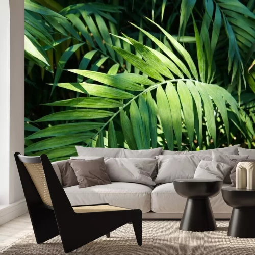 Fotobehang Palmbladeren in de zon