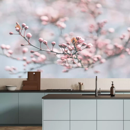 Fotobehang Kersenbloesem tegen de lucht