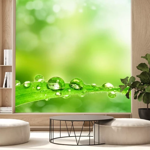 Fotobehang Een grassprietje bedekt met dauw